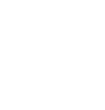 nsf all white bitmap logo